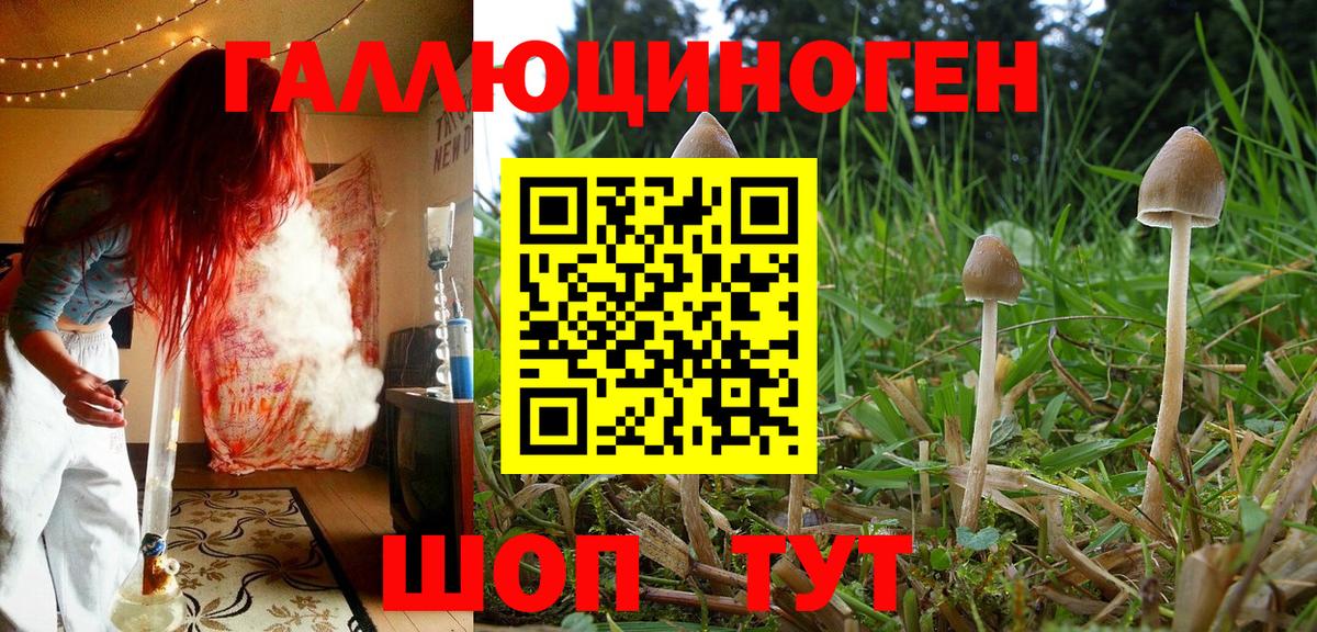 Псилоцибиновые грибы ЛСД Новоалександровск