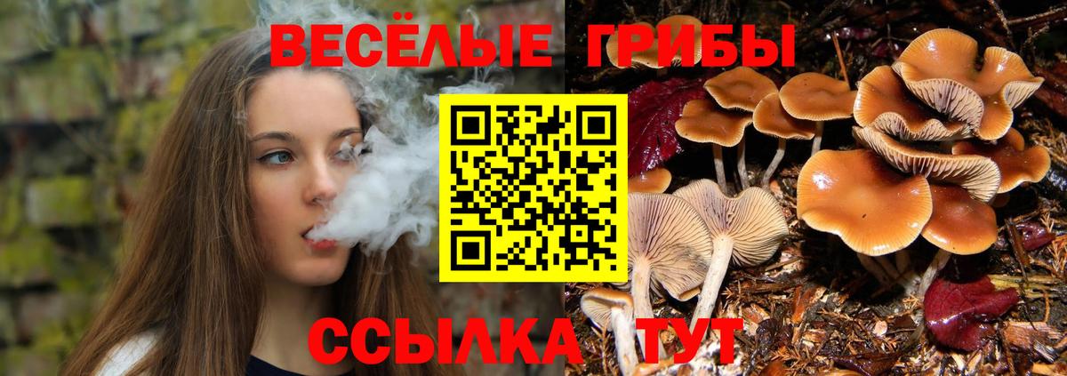 Псилоцибиновые грибы GOLDEN TEACHER  Вход с VPN  Новоалександровск 
