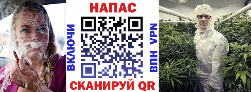 Бошки марихуана VHQ  где купить наркотик  Новоалександровск 