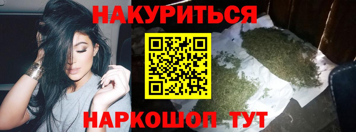 Каннабис конопля Новоалександровск